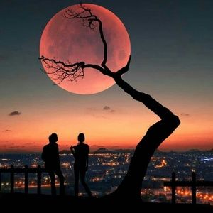 Meet your Posher, Thiago